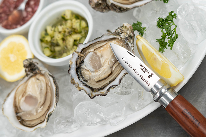 Fresh Oysters on tray with shucking knife