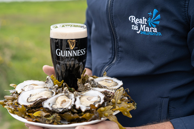 Oysters and pint of Guinness