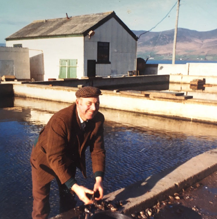 Jimmy Casey working at the Cromane Mussel Station 