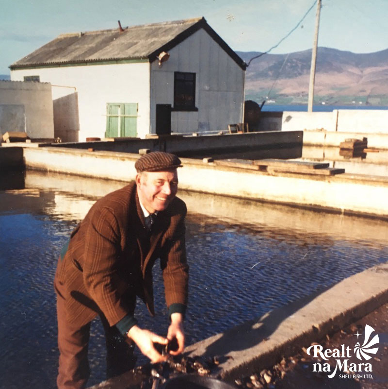 Jimmy Casey working at the Cromane Mussel Station