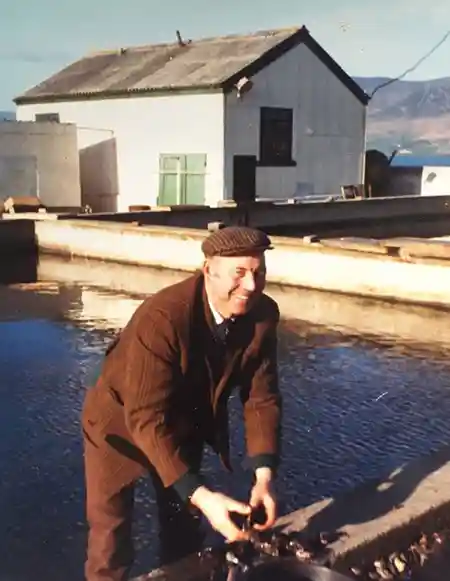 Jimmy Casey working at the Cromane Mussel Station 
